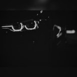 notocyk.